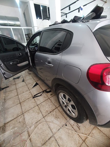 CARVİX PRODETAİLİNG
