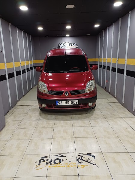 PRO CAR DETAİLİNG