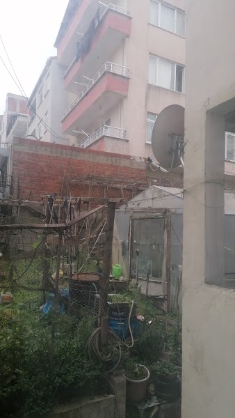 Eriş Oto Ve Hali Yikama