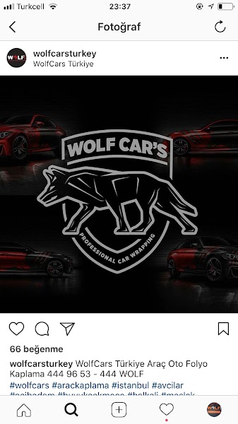 Wolfcars profesyonel araç temizlik