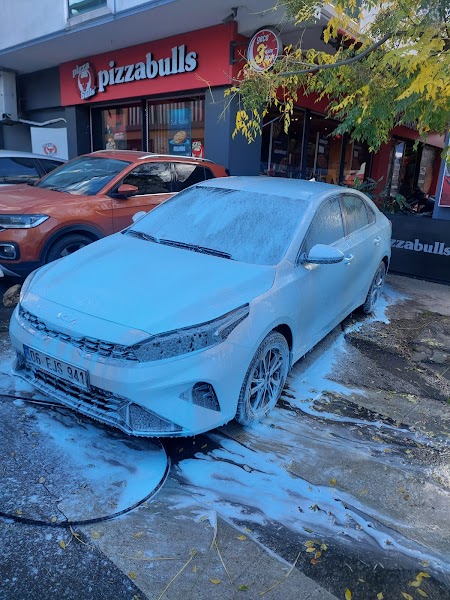aydın mobil oto yıkama