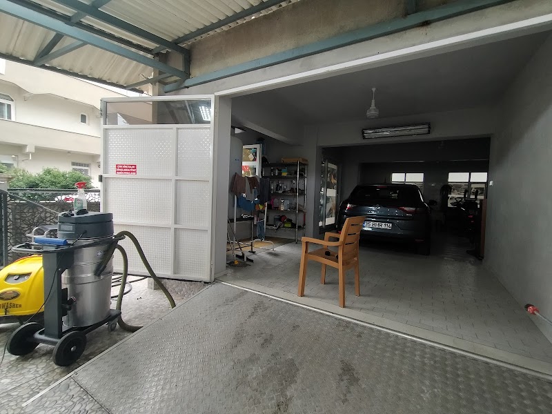 Pigas oto yıkama