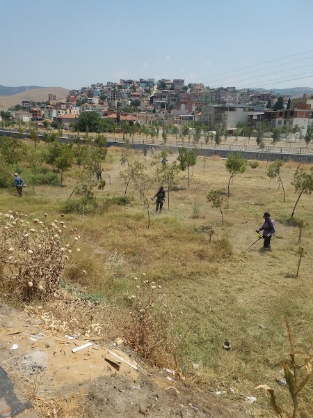 Şen Oto Buharlı Yıkama