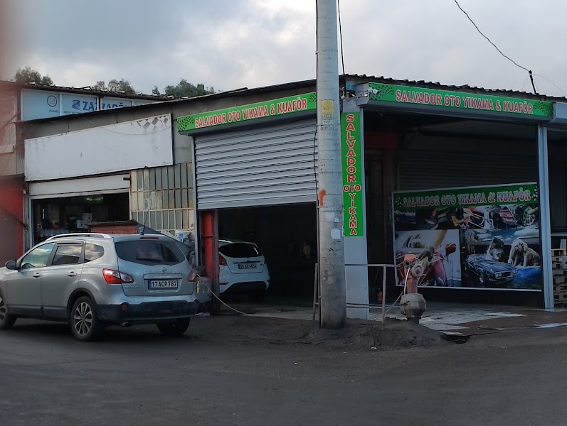 Salvador Oto Yıkama & Kuaför Pasta cila boya koruma