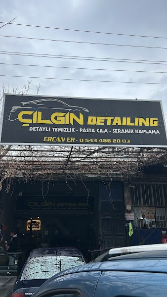 Çılgın detaylıng oto yıkama