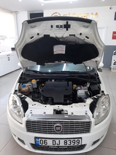 Çiğdem Oto Kuaför - Detailing