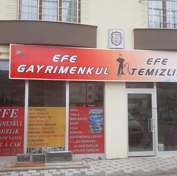 Efe temizlik dezenfektan