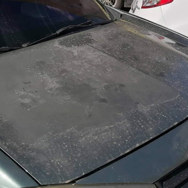 Alanya Oto Yıkama (plus oto yıkama)